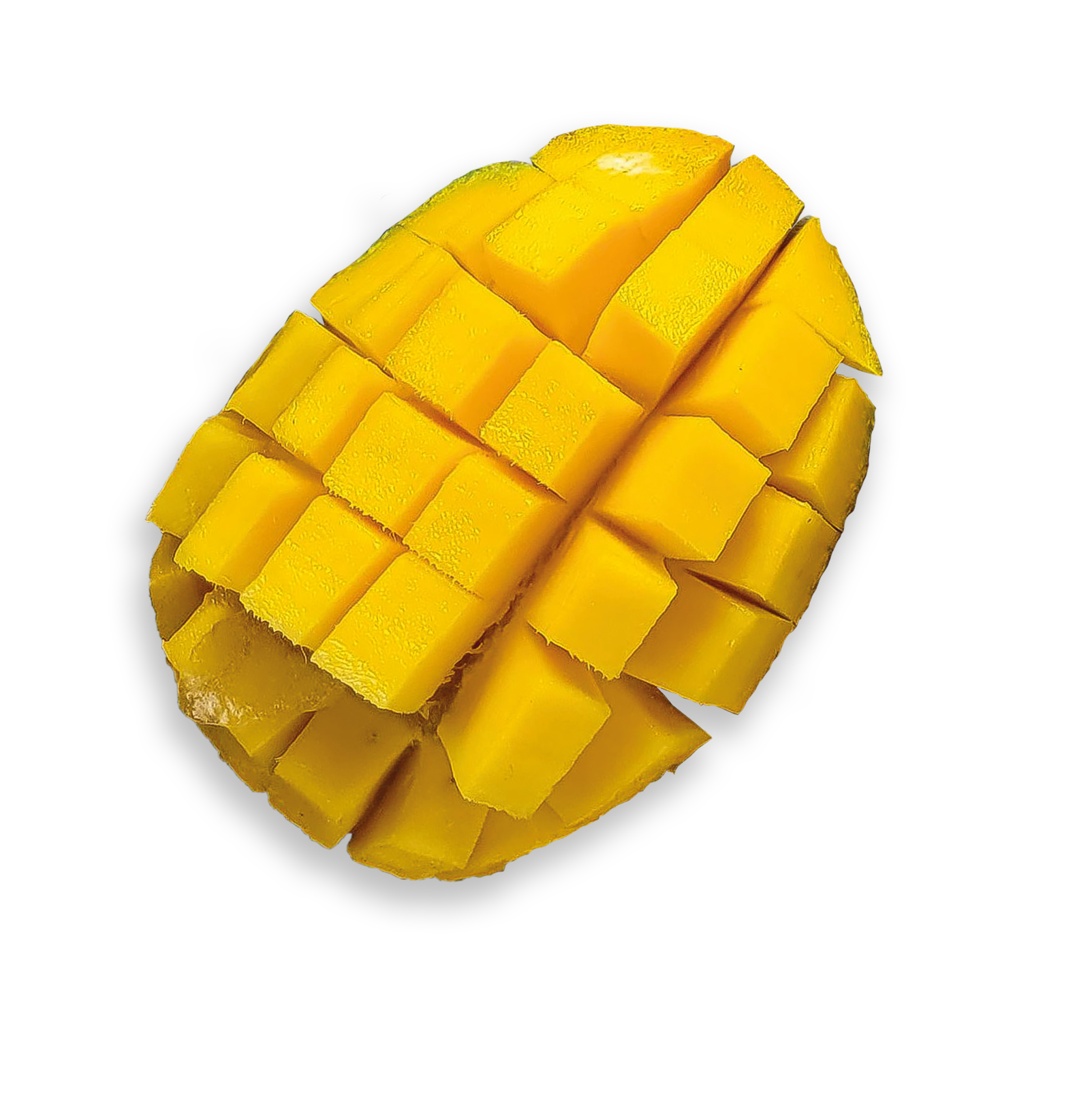 Boba Explosion à la saveur mangue avec bobas explosifs à base de purée de fruits