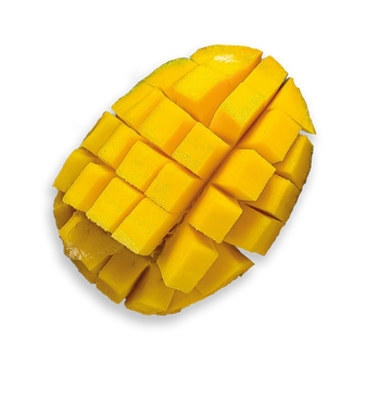 Boba Explosion à la saveur mangue avec bobas explosifs à base de purée de fruits